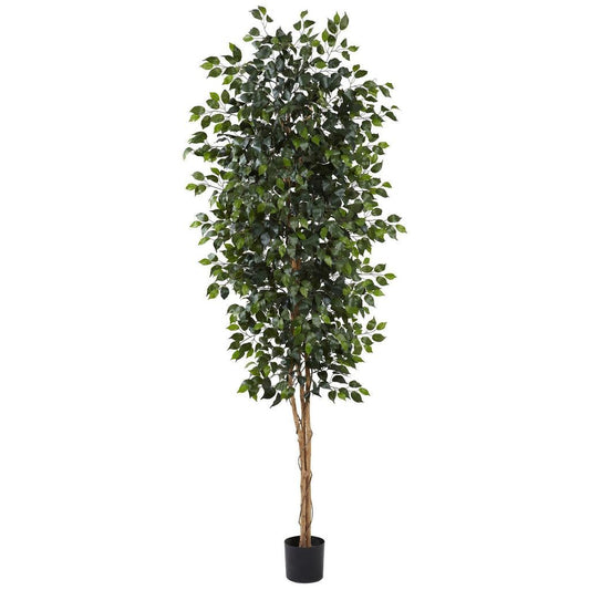 8‰?? Ficus Tree w/1512 Lvs