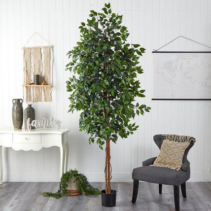 8‰?? Ficus Tree w/1512 Lvs