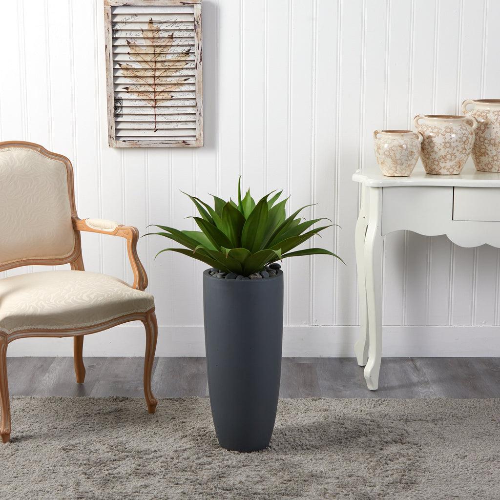 Agave in Gray Cylinder Planter