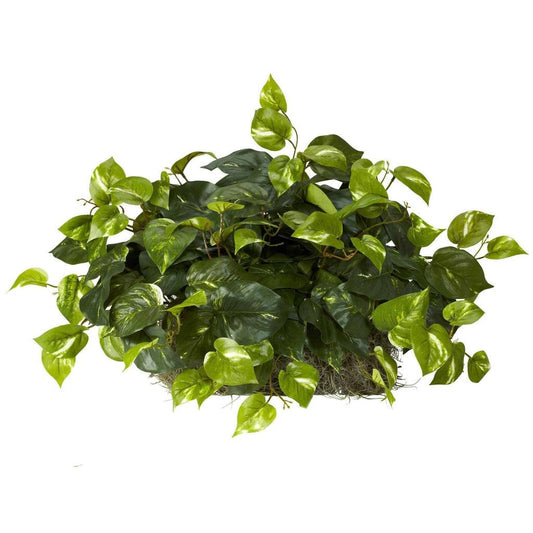 Pothos Set on Foam Sheet Silk Plant